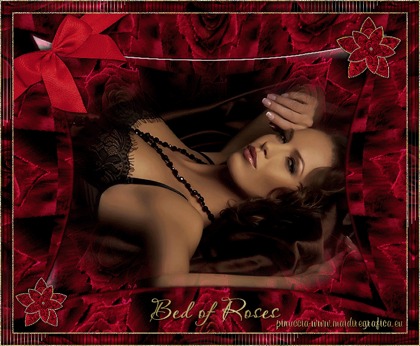 Bed of Roses