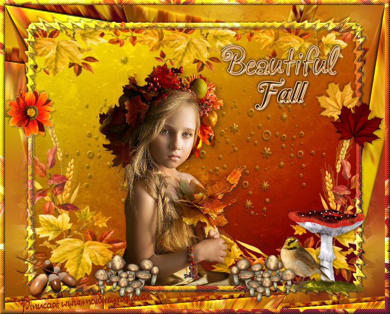 Beautiful Fall