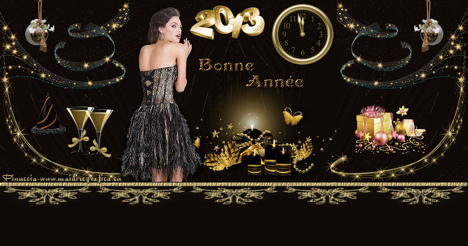 Bonne Anne 2013