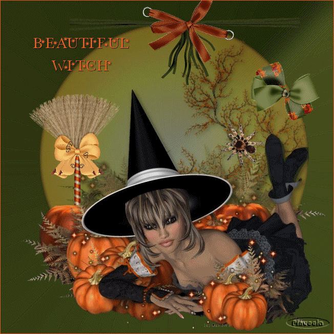 Beautiful witch