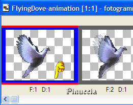 selezione fotogramma