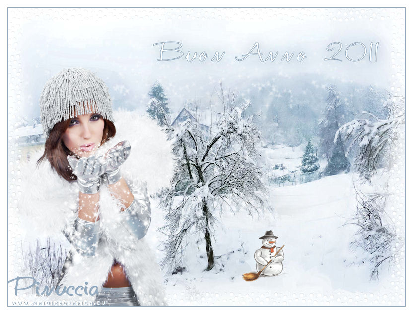 Bonne et heureuxe Anne 2011