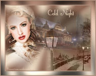 Cold night