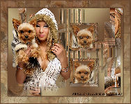 Picture of my doggie