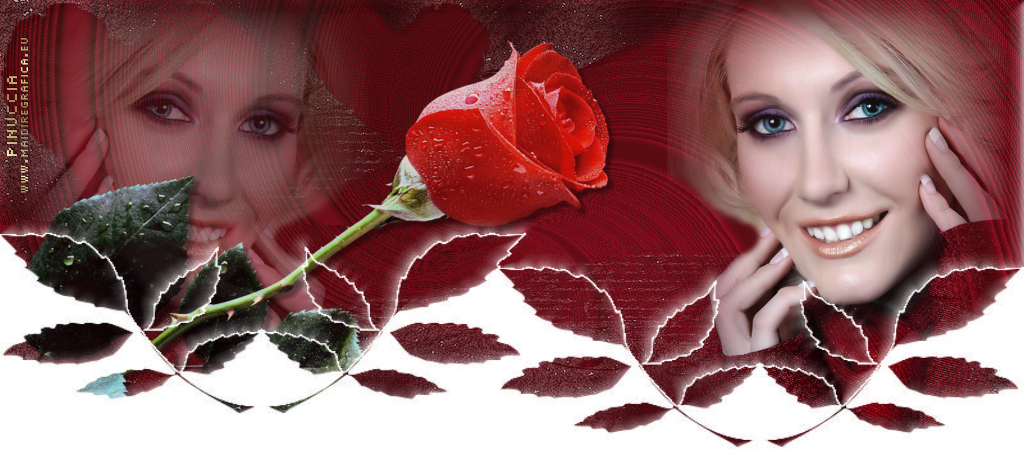 Top Rose are for you